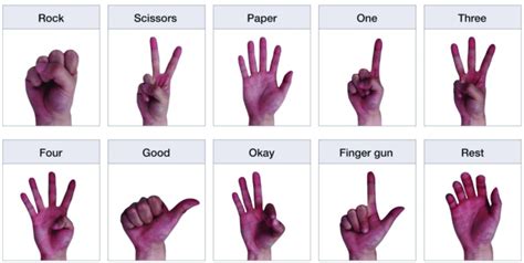 Ten Hand And Finger Gestures Used For Classification Two Whole Hand