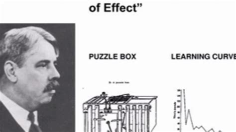 The law of readiness, the law of exercise, and the law of effect. Edward Lee Thorndike puzzle box experiment and the Law of ...