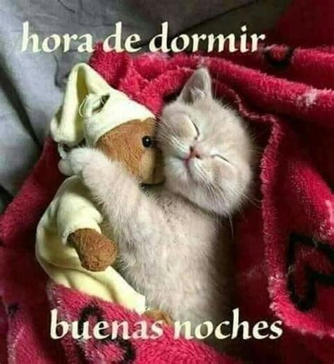 Pin By Martha Gómez On Buenas Noches Cute Cats And Kittens Good