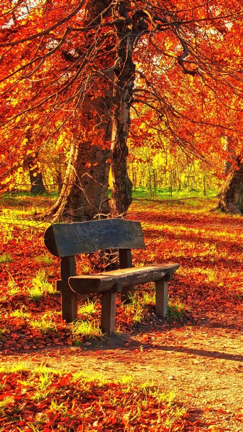 Autumn Bench Br