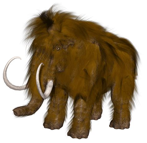 Download Mammoth Computer Drawing Transparent Png Stickpng