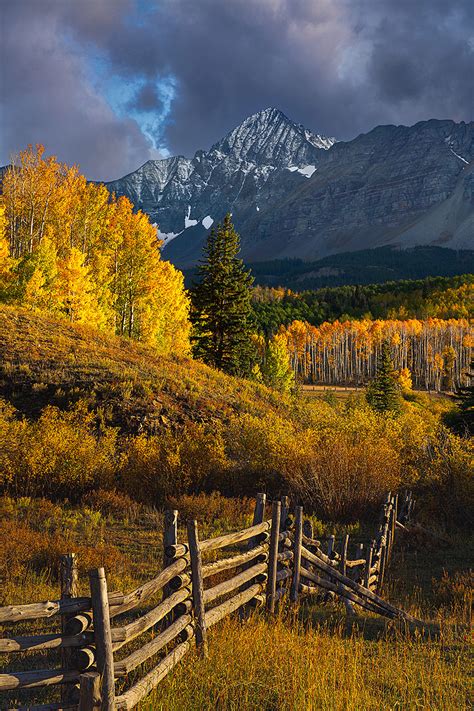 Autumn Fence San Miguel County Colorado Usa