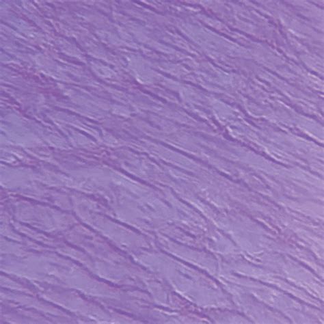 Elastic Tissue Ls Microscope Slide