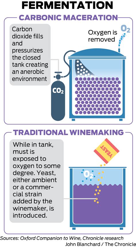 Coffee and carbonic maceration process. 2.png