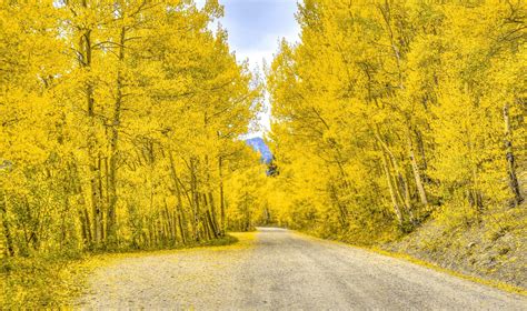 Best Fall Colors In Breckenridge Autumn In Colorado