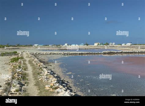 Caribbean Turks Caicos Salt Cay Island Balfour Town Town View