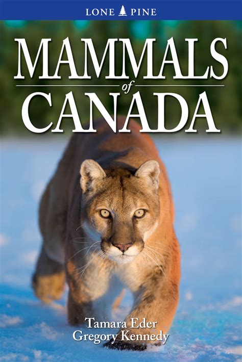 Mammals Of Canada Canada Book Distributors