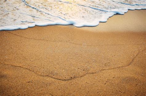 在海滩的沙子 库存照片 图片 包括有 沙子 气候 旅行 海岸线 边缘 海运 火箭筒 热带