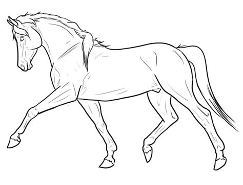 Dibujos de Caballos para Adultos «Caballos para Colorear los Niños»