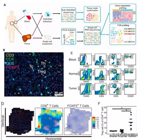 Cell 基于单细胞测序描绘肝癌免疫图谱 基因 癌细胞 新浪新闻