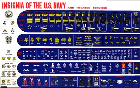 Us army ranks take initiative with the private rank and end with the sergeant major. us navy enlisted rank insignia chart - Rakak
