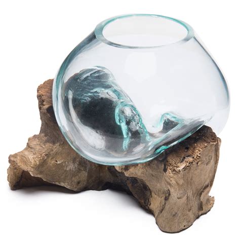 Myt Natural Driftwood And Clear Molten Glass Bowl Plant Terrarium Game