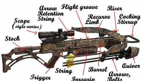 How to choose a Crossbow – Hunting-Bow