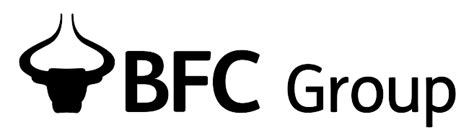 Bfc Group Holdings Retail And Corporate Wholesale And Banking Services