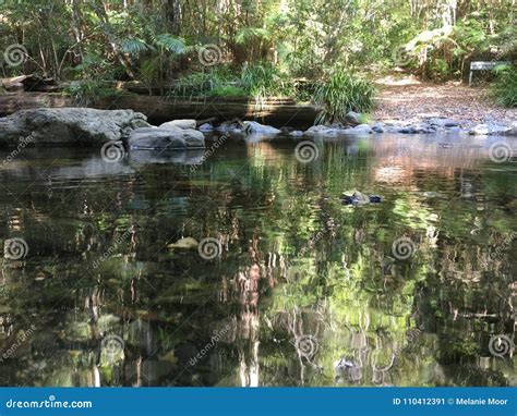 Beautiful Serene Water With Reflections Of Surrounding Trees Stock