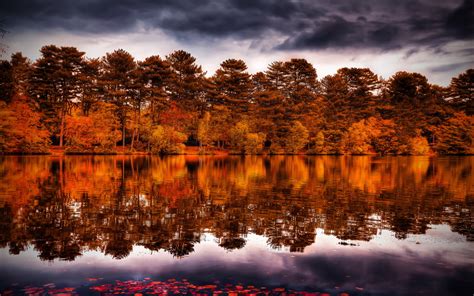 Reflection Trees Forest Shore Autumn Fall Sky Wallpapers Hd