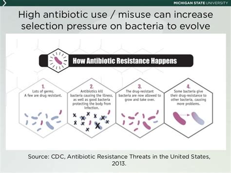 Antibiotic Resistance And The Agriculture Health Linkage