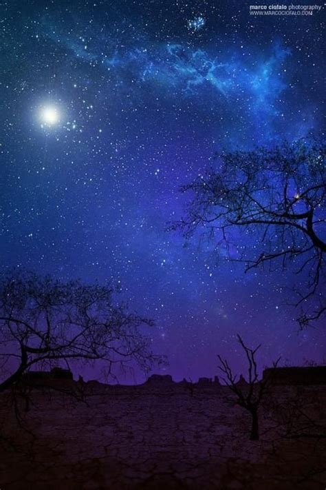 Desert Night Night Skies Star Sky Nature
