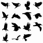 Bird Silhouettes Icon Icons Tarah Pack Findicons