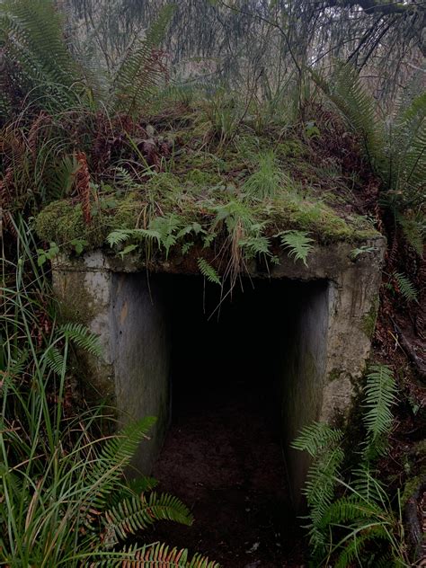 A Dark Hidden Bunker I Found While Walking Through The Forest