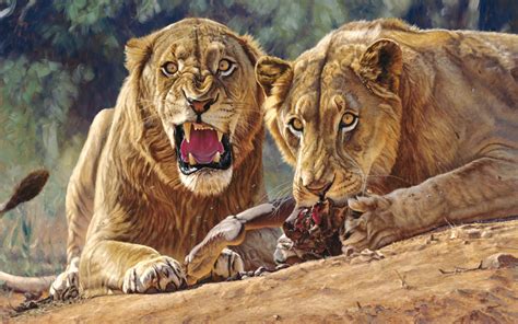 A file every 60 minutes. King of Beasts - A Study of the African Lion - Sporting ...