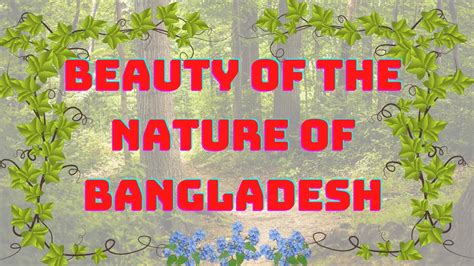 The Natural Beauty Of Bangladesh Enjoy The Natural View Youtube