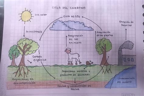 Ciclo Del Carbono In 2021 Map Art