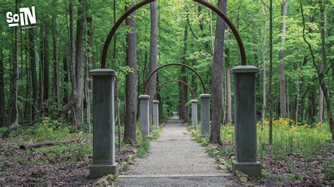 Silhouette of tree near body of water during beautiful sunset. Zoom Meeting Background Images Nature - Update Your Zoom Background With These Beautiful ...