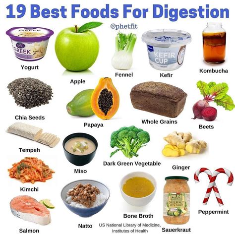 12 Best Foods For Digestion And Weight Loss 2022