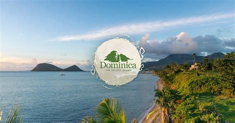 visit the island of dominica immerse yourself in nature and adventure and discover why dominica