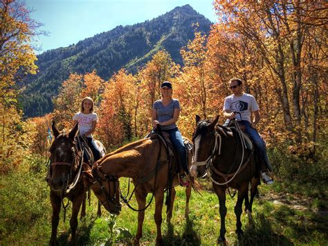 Horseback Riding Sundance Utah Tred Cred