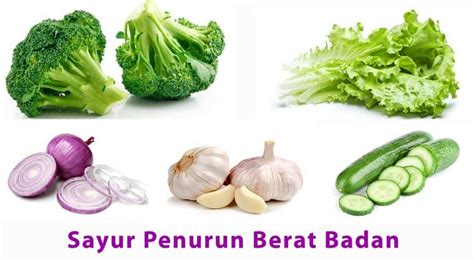 We did not find results for: Jenis Sayuran untuk Menurunkan Berat Badan Dengan Cepat ...
