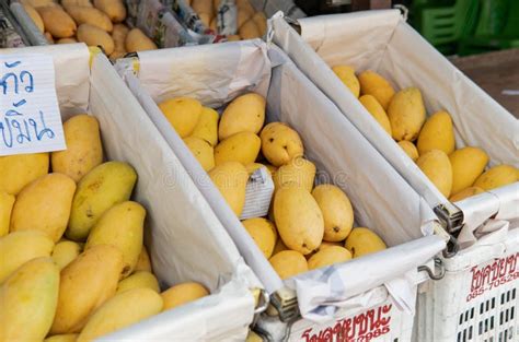 Fruit Markets Of Asia Popular Exotic Fruits For Tourists Around The World Stock Image Image