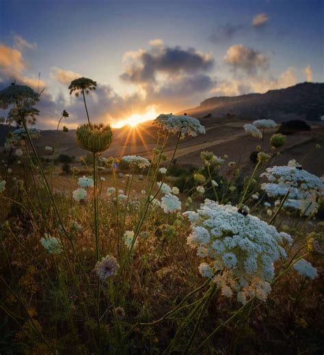 Kenan Hurdeniz On Instagram Spring Sunset In Cyprus Nature
