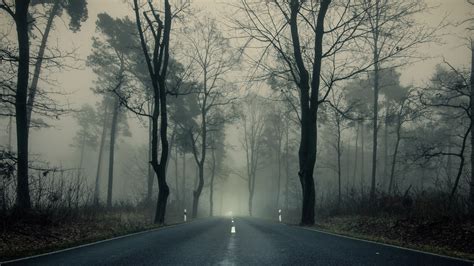 Download 1920x1080 Foggy Forest Road Trees Darkness Mood Wallpapers