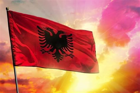 Fresh Bid To Win Same Sex Marriage In Albania Lavender Magazine