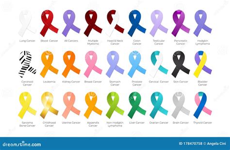 All Cancer Ribbons Color Isolated Stock Vector Illustration Of Melanoma Light 178470758