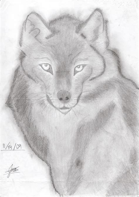 Wolf Sketch By Jiosedge On Deviantart