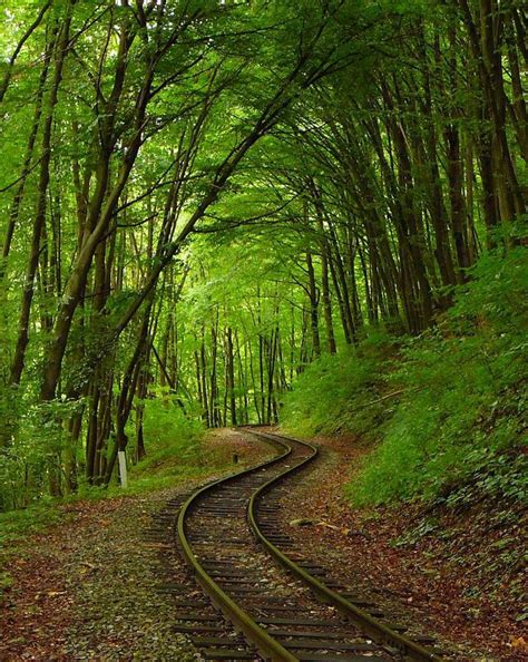10 Dream Paths You Must Walk During Your Life Once Places Must Visit