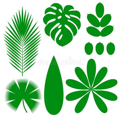 Hojas De Plantas Tropicales Elementos Aislados Stock De Ilustración