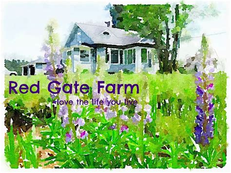 Red Gate Farm Blogiversary Week Day 5 Vintage In The Garden