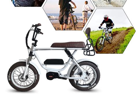 2020 Lithium Battery Super Powered 48v 1000w Aimos 73 Two Seat Ebike
