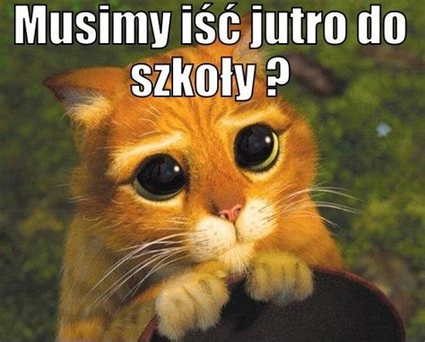 Codziennie dostarczamy najświeższy sort memów na viralowe tematy z obecnych wydarzeń. MEMY o szkole! Nauka w dobie koronawirusa. Szczęśliwi ...