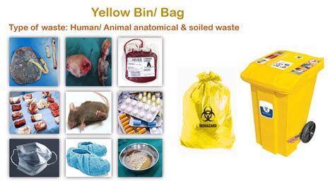 Top More Than Hospital Disposal Bags In Duhocakina