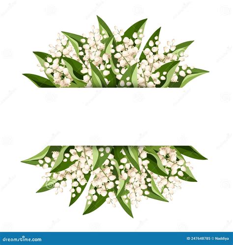 Banner With Lily Of The Valley Flowers Vector Illustration Stock