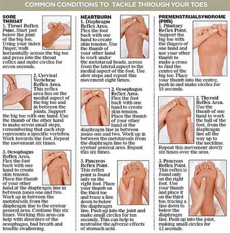 Reflexology Massage Techniques Lots Of Charts The Whoot