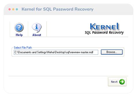 Sql Password Recovery Tool To Recover Passwords From Protected Sql