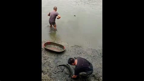 How To Catch Giant Fishing Asian Fishing Best Fishing Technique Fishing