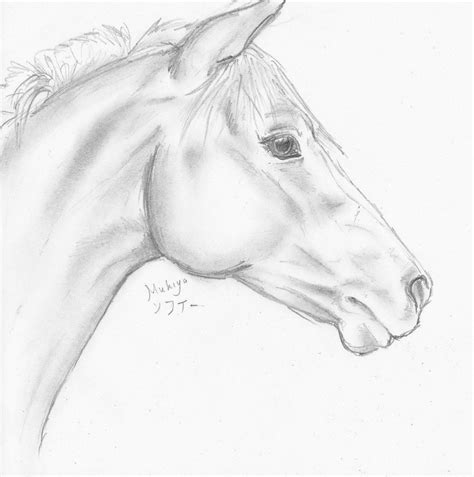 Pin By Cimmaron Coker On Ink Sketches Horse Head Drawing Animal