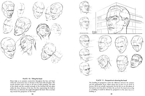 Andrew Loomis Drawing The Head And Hands